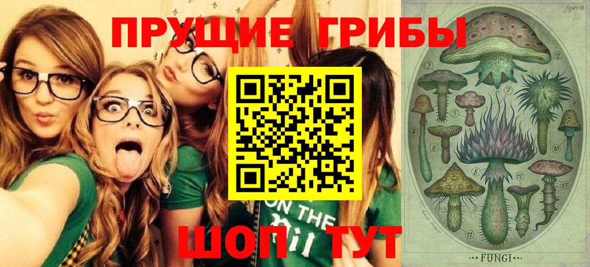 Моздок  Галлюциногенные грибы Psilocybine cubensis  Вход с VPN 