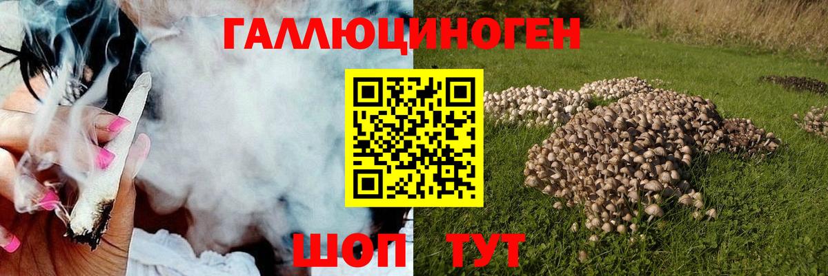 Галлюциногенные грибы ЛСД Моздок