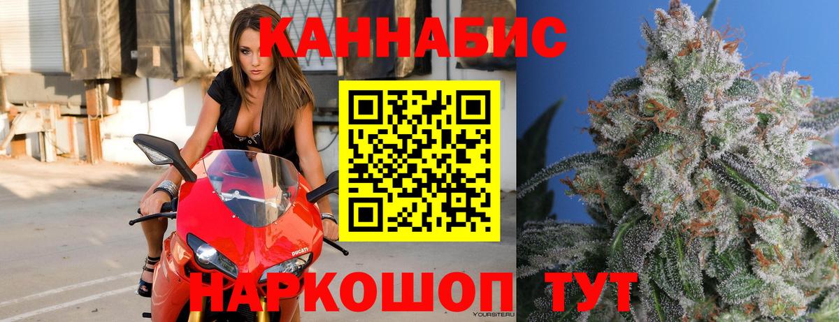 Конопля тримм Моздок